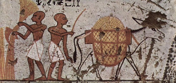 Egyptian Painting of a Donkey Dated Circa 1298-1235 BC donkey-3000 BC-Mesopotamia-Egypt