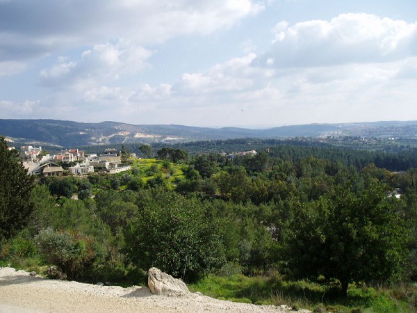 Eshtaol Forest Eshtaol_Forest