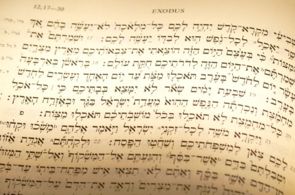 Hebrew Passover text Exodus 12-Passover-portion