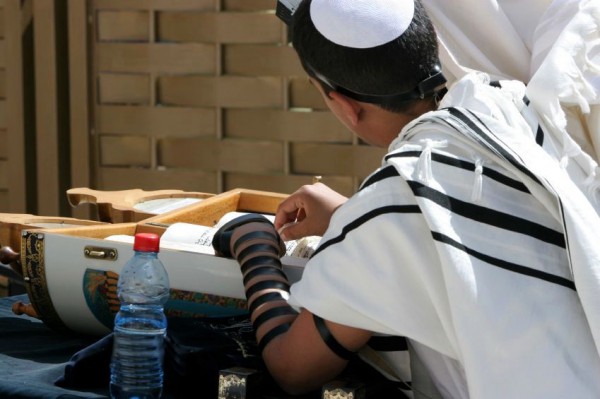 A young man reading the Torah young-man-reads-Torah