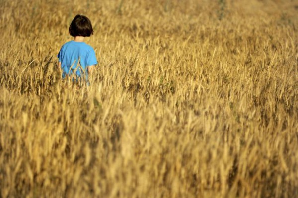 Girl in wheat field in Israel girl-wheat-field-Israel