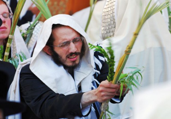 Sukkot four species Sukkot-four species-Arba Minim-Four Species-etrog-aravot-hadassim