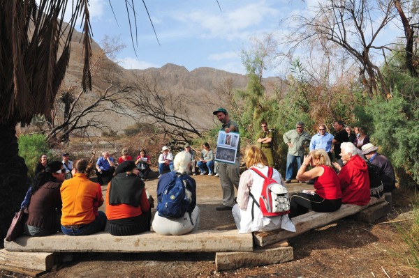 Israel guide Einot Tzukim-Ein Feshka-Desert Oasis