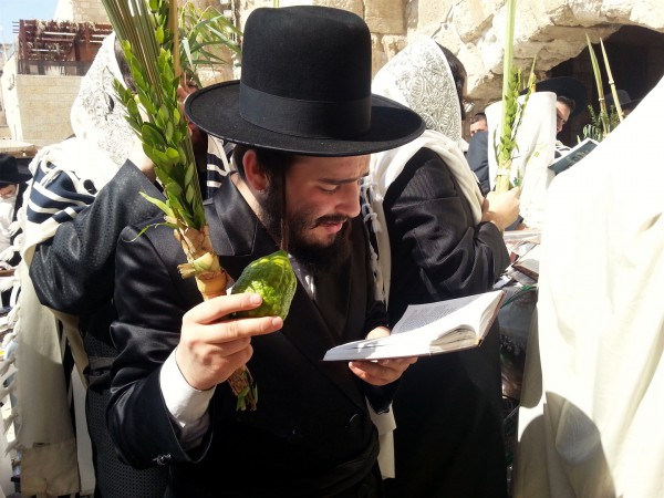 Praying on Sukkot with the Four Species: citron, palm, myrtle, and willow lulav-etrog-Kotel-Sukkot-praying-four kinds