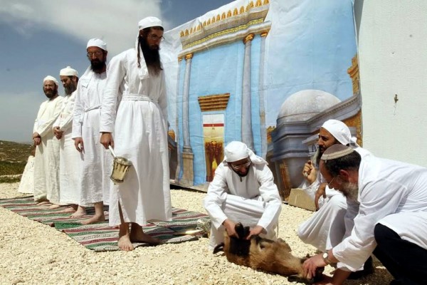 A Kohen holds a silver mizrak, which is used to collect the blood from the sacrifice. After collecting the blood, the priest then spills it onto the corner of the altar. (Source: Temple Institute Facebook page) A Kohen holds a silver mizrak, which is used to collect the blood from the sacrifice. After collecting the blood, the priest then spills it onto the corner of the altar. (Source: Temple Institute Facebook page)