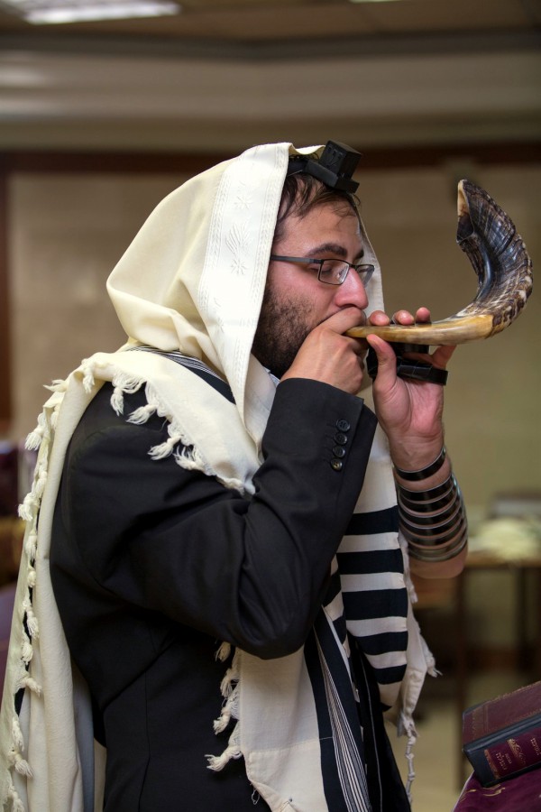 A Jewish man wearing a tallit (prayer shawl) and tefillin (phylacteries) blows a shofar (ram's horn). A Jewish man wearing a tallit (prayer shawl) and tefillin (phylacteries) blows a shofar (ram's horn).
