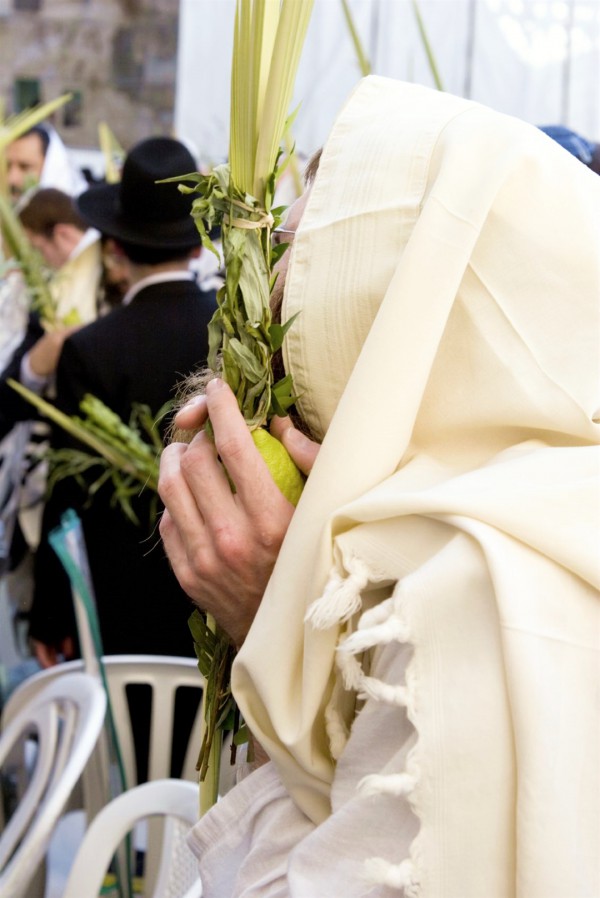 Arba Minim Lulav Etrog Four Kinds-Sukkot-Jewish prayer