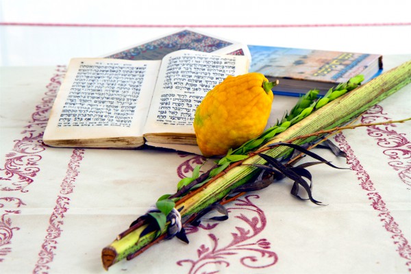 1080-Succot3 - Dana F Sukkot-lulav-date palm frond-etrog-citron-hadass-myrtle-aravah (willow), and etrog (citron).