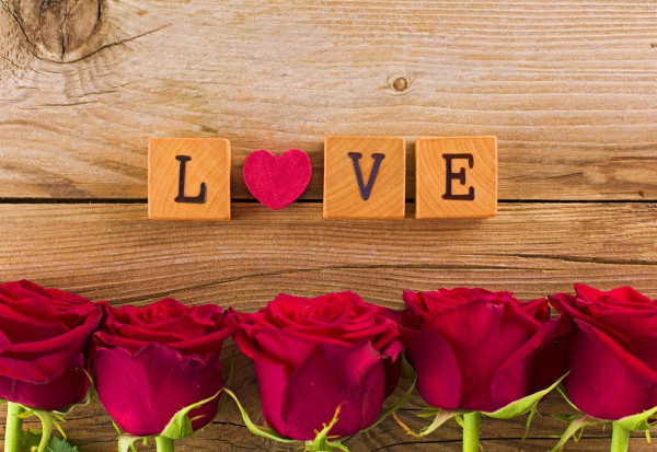 love and roses love, roses, ahava, chesed, dod, raya